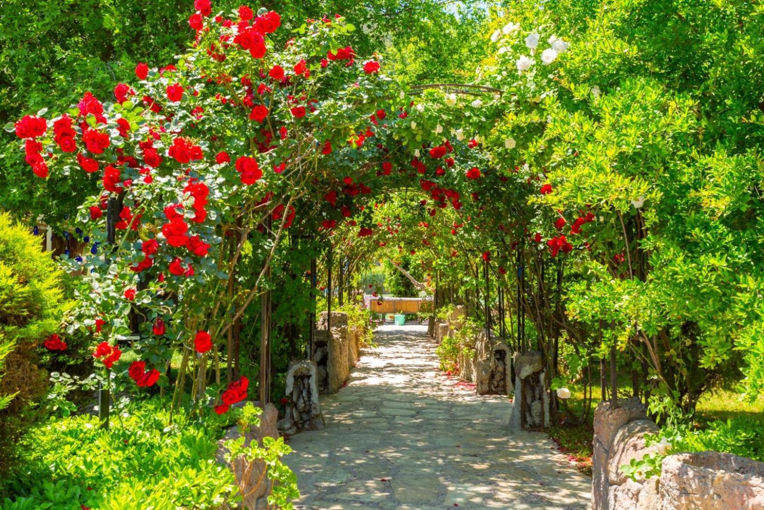 Villa Aysel Paradise Muğla Exteriör bild